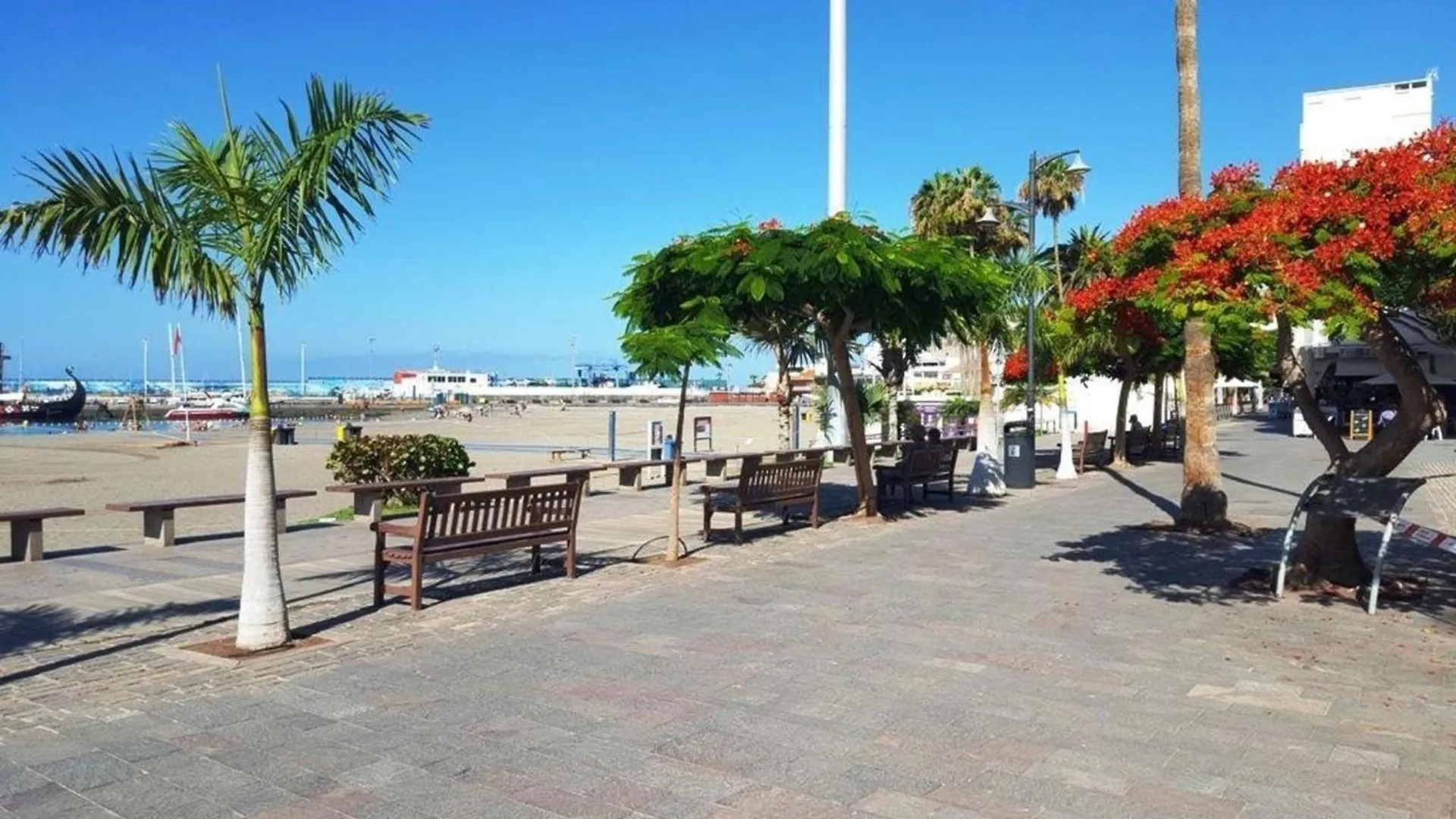 Ferienwohnung Fuer 3 Personen Ca 45 M In Los Cristianos, Teneriffa Westkueste Von Teneriffa Los Cristianos  Los Cristianos (Tenerife)